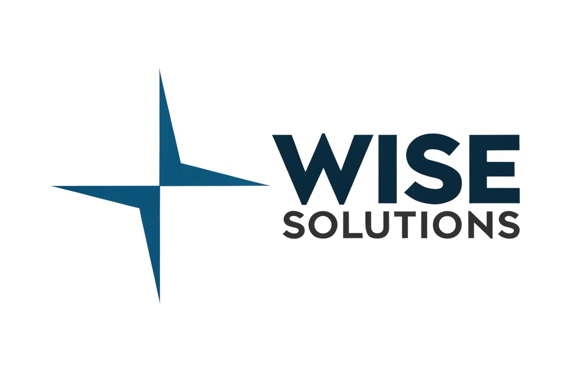 Wise Solutionun Amacı